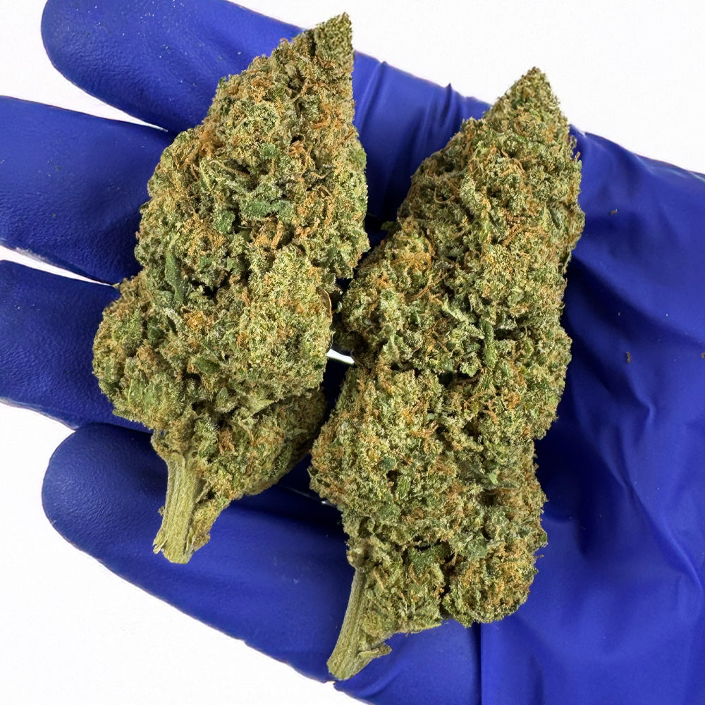 Wedding Cake HQxCT CBD - Interior