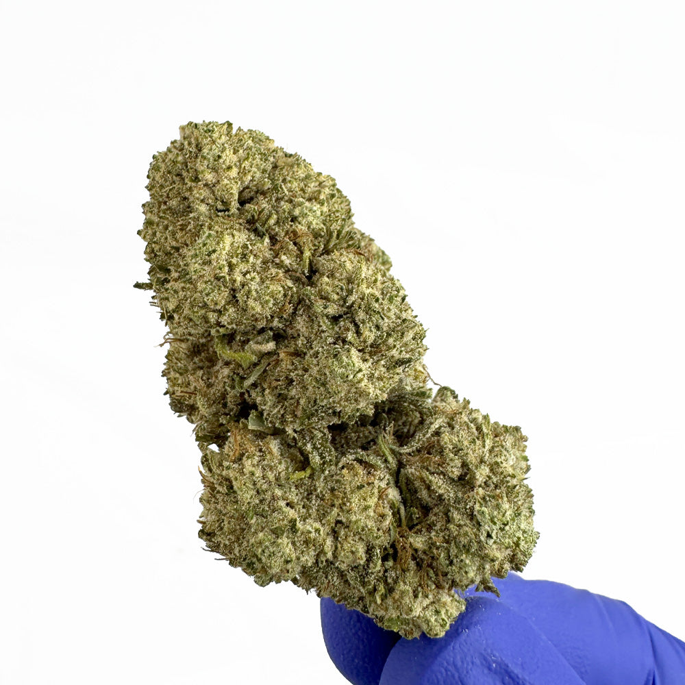 White CBG – hybrid