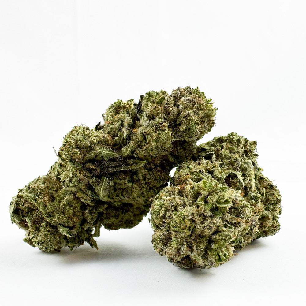 Zoap CBD – uprawa pod dachem — zdjęcie 1