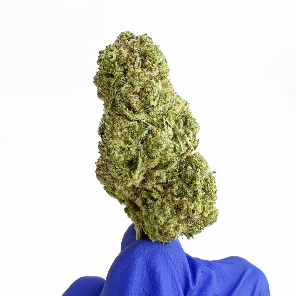 Mydło CBD – uprawa w pomieszczeniu — zdjęcie 4