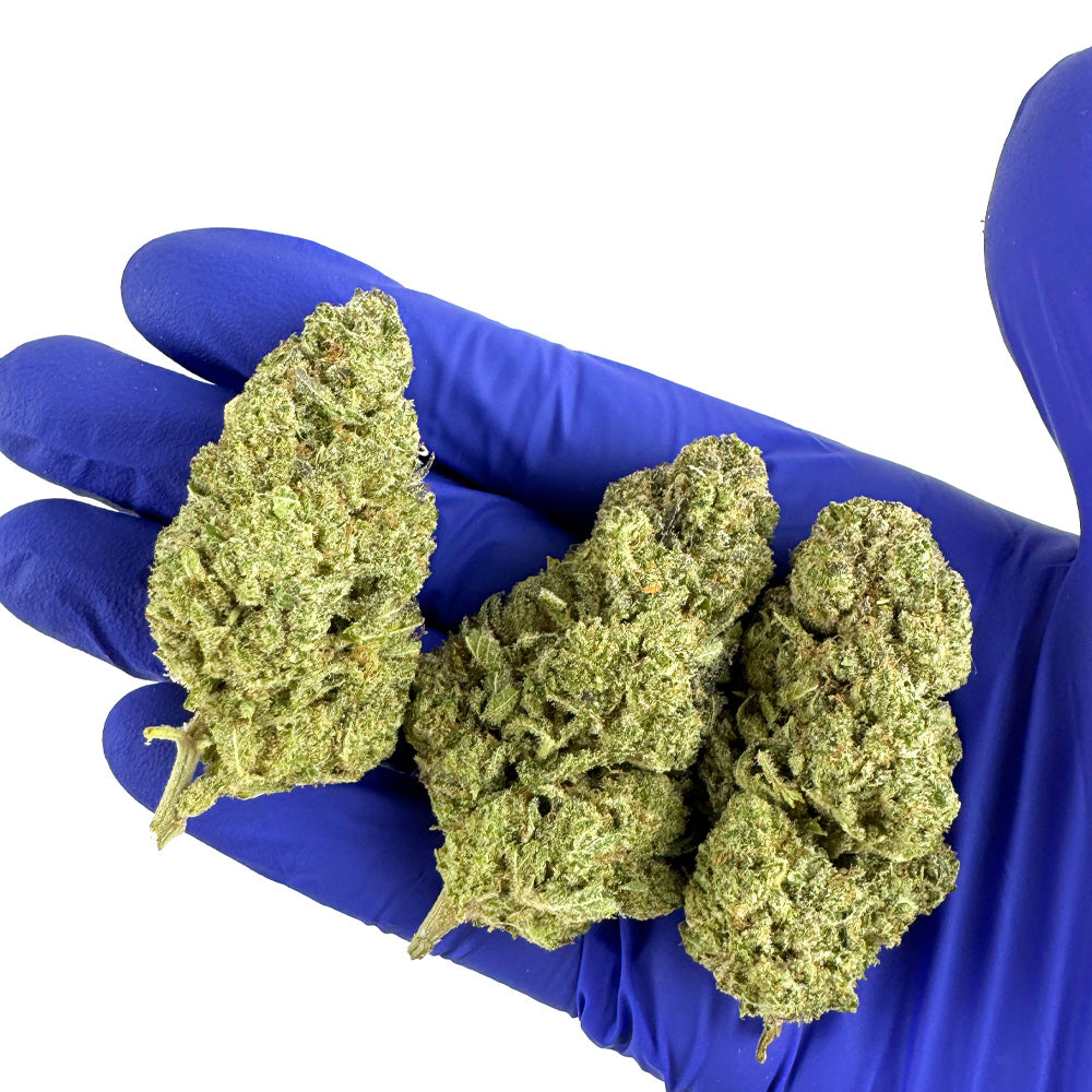 CBD mýdlo – Indoor — foto 5