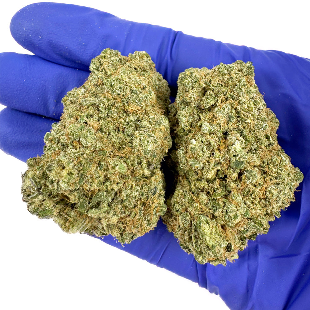 CBD-Preis pro Kilogramm: Der vollständige Leitfaden zur Optimierung Ihrer Rentabilität