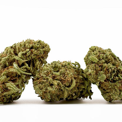 Amnesia Core Cut - USA Hybrid