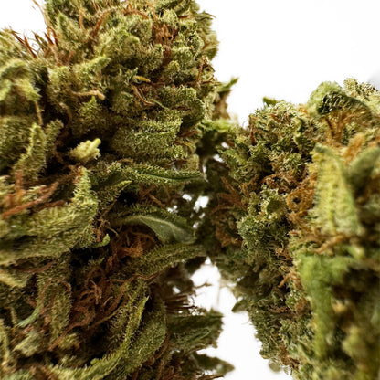 Amnesia Core Cut - USA Hybrid