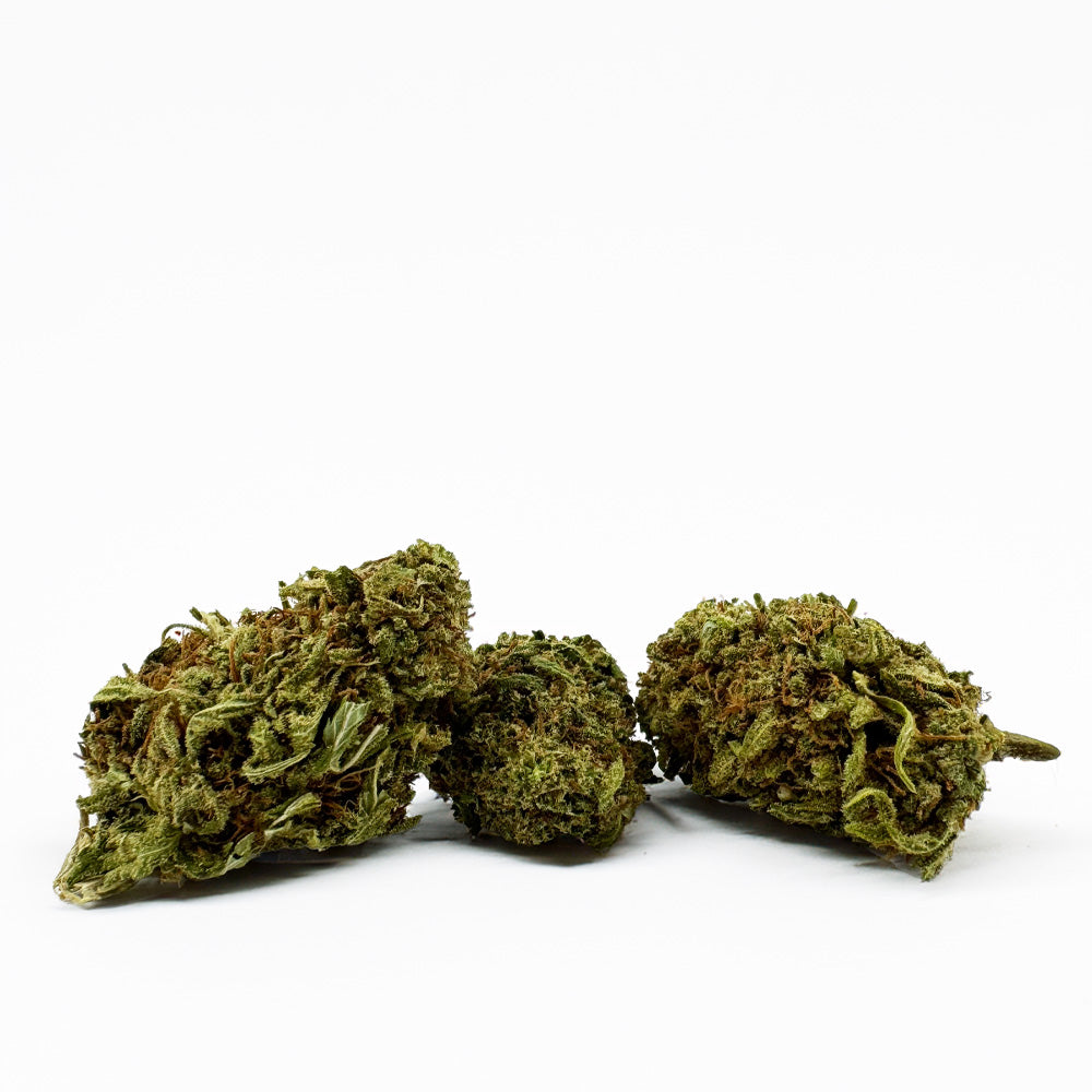 Amnesia Core Cut - Híbrida EE. UU.