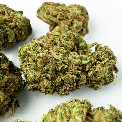 Små knoppar Amnesia Core Cut – Hybrid