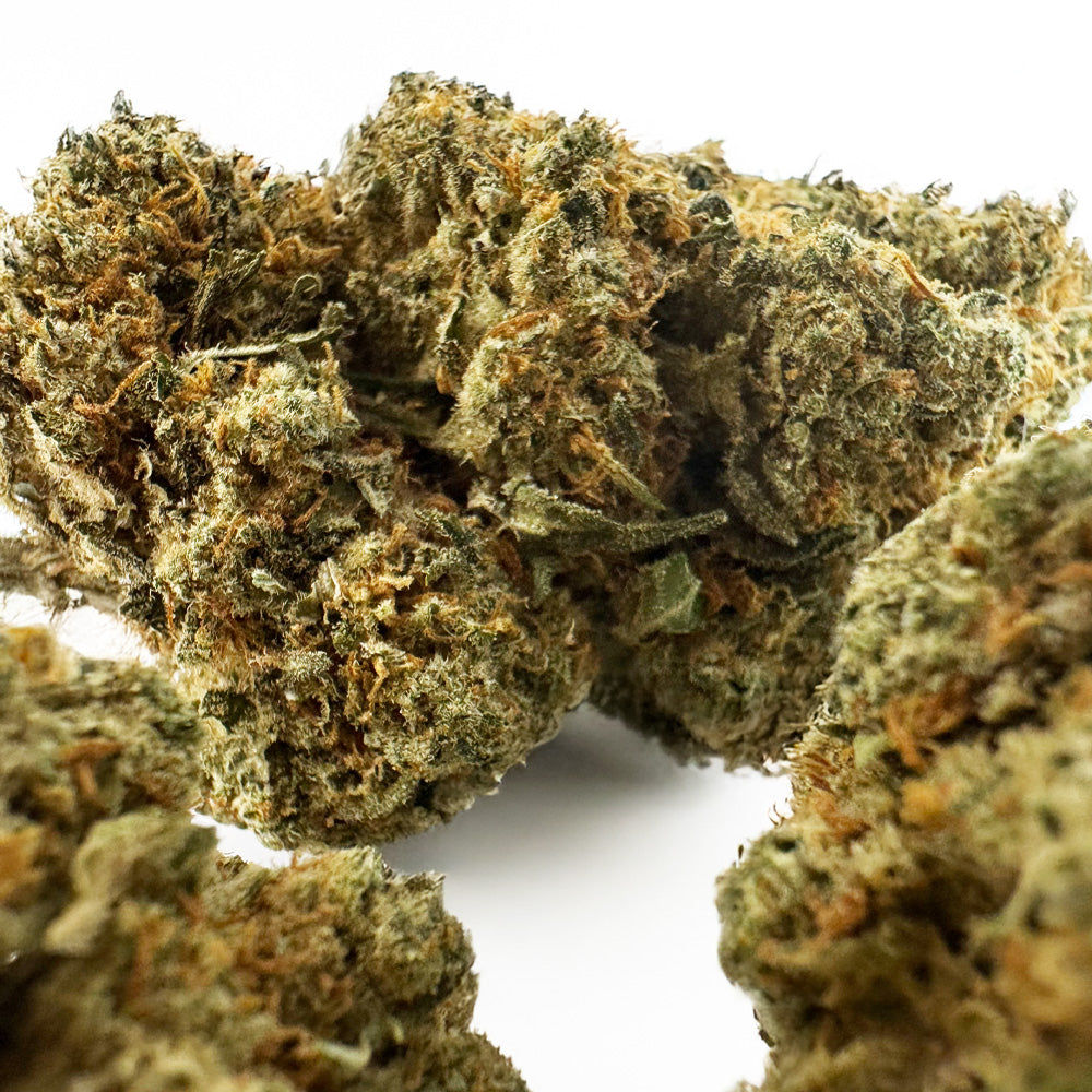 Amnesia JSH B1 CBD - Indoor