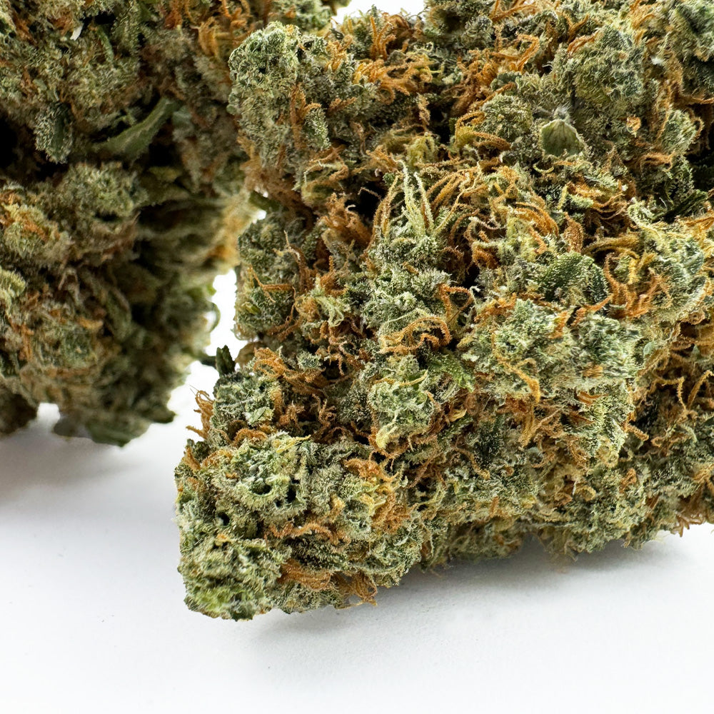 Amnesia JSH B1 CBD – uprawa w pomieszczeniu — zdjęcie 2