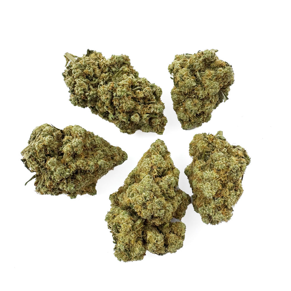 Amnesia JSH B1 CBD – uprawa w pomieszczeniu — zdjęcie 3