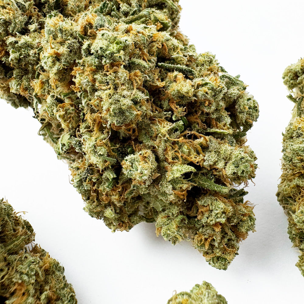 Amnesia JSH B1 CBD – uprawa w pomieszczeniu — zdjęcie 4