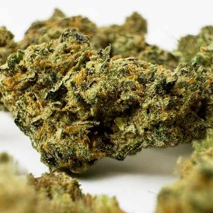 Medium-sized Amnesia JSH buds, seen up close