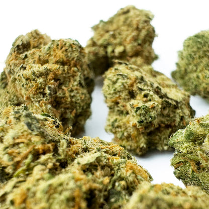 Medium Amnesia JSH buds on a light background