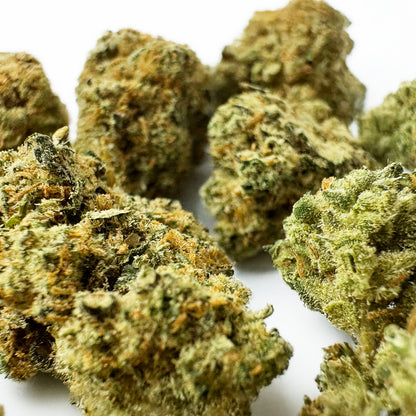 Amnesia JSH Medium Buds, Loose