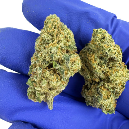 Amnesia JSH medium buds in my hand