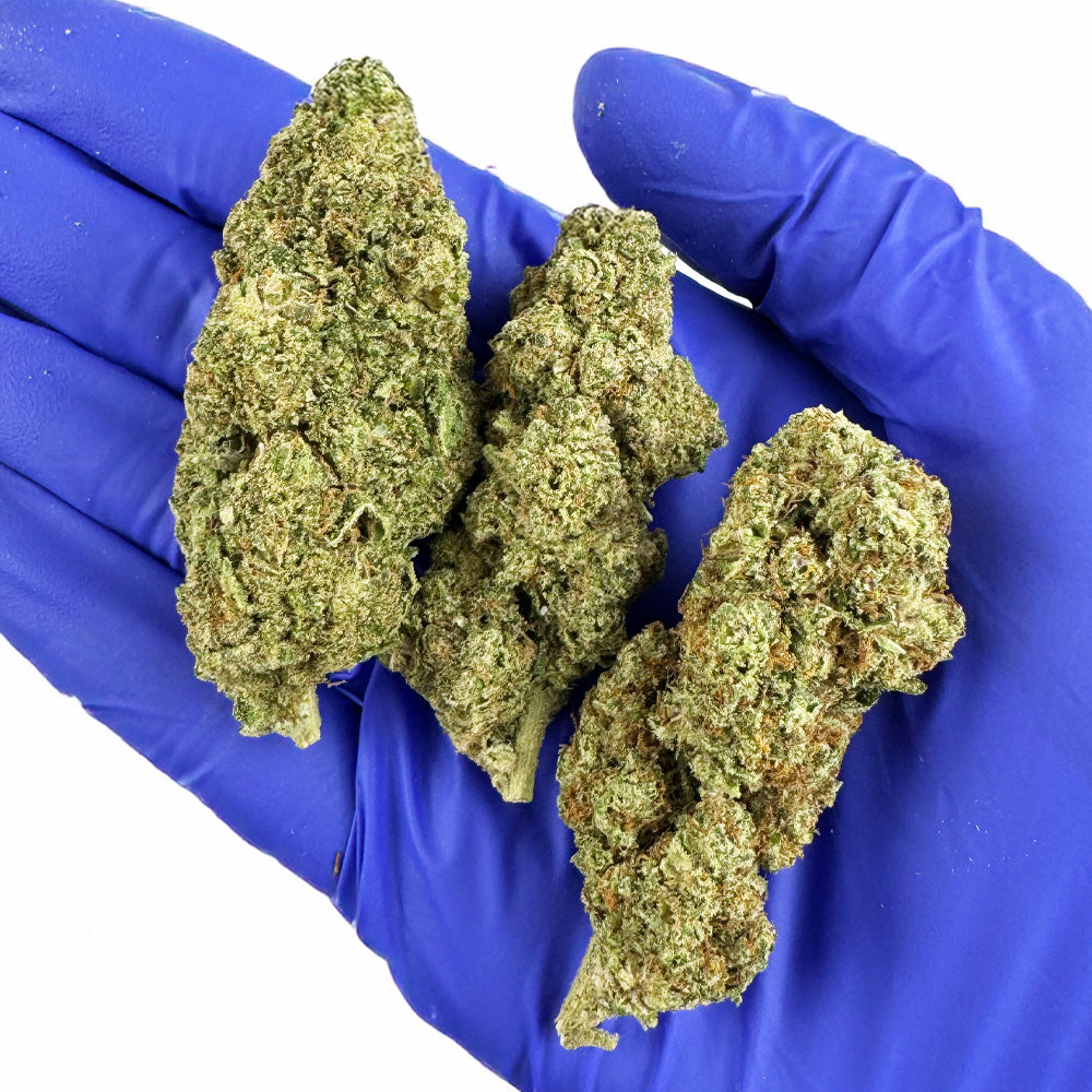 Apple Pie - Interior