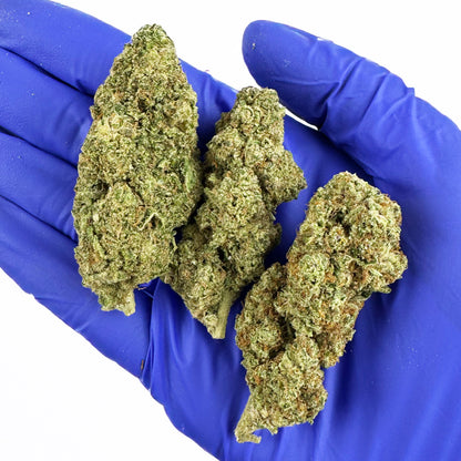 Apple Pie – Indoor