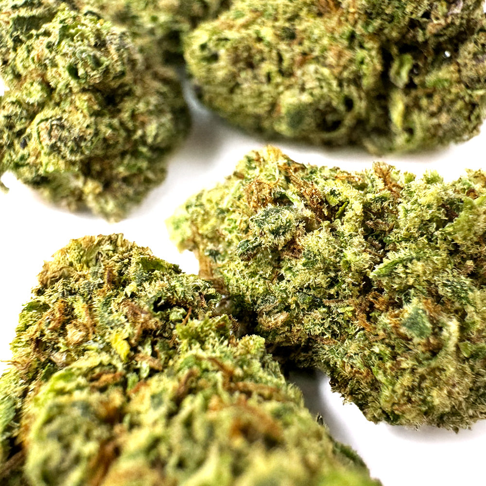 Small Buds Apple Pie - Interior