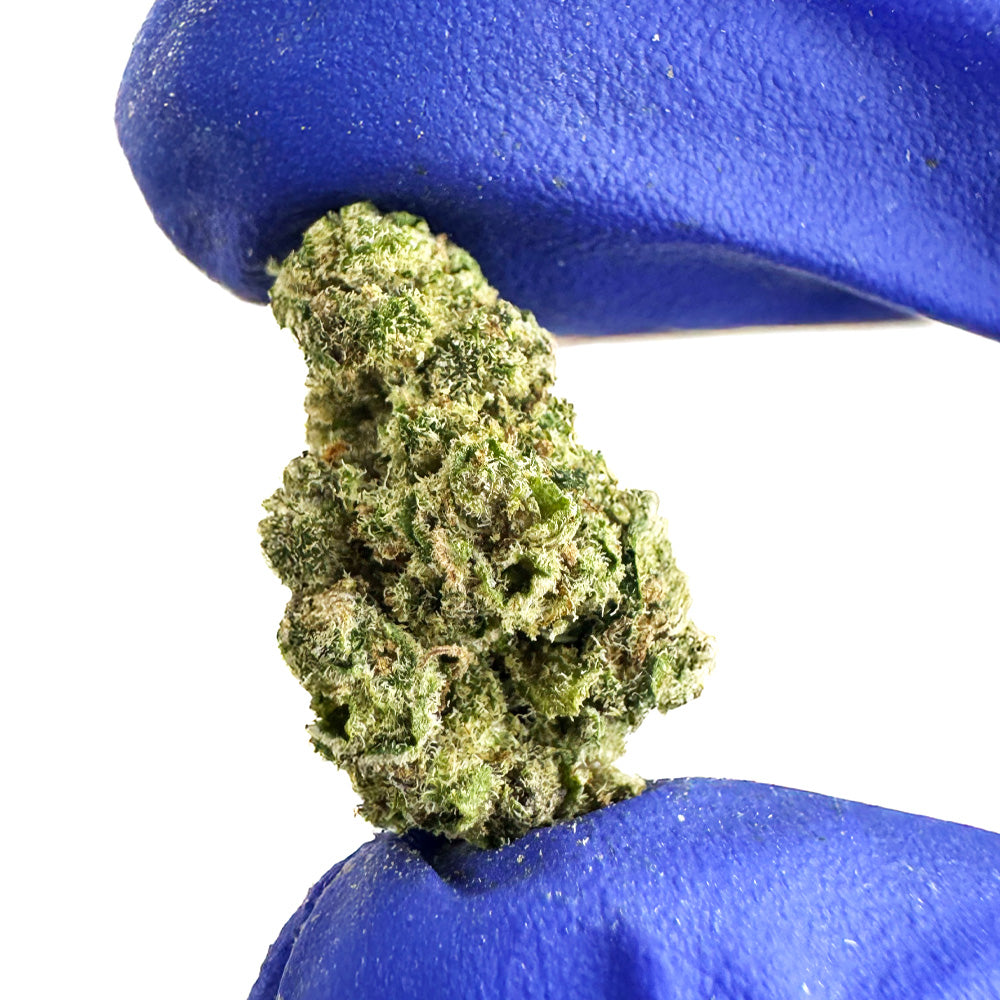 Small Buds Apple Pie - Interior