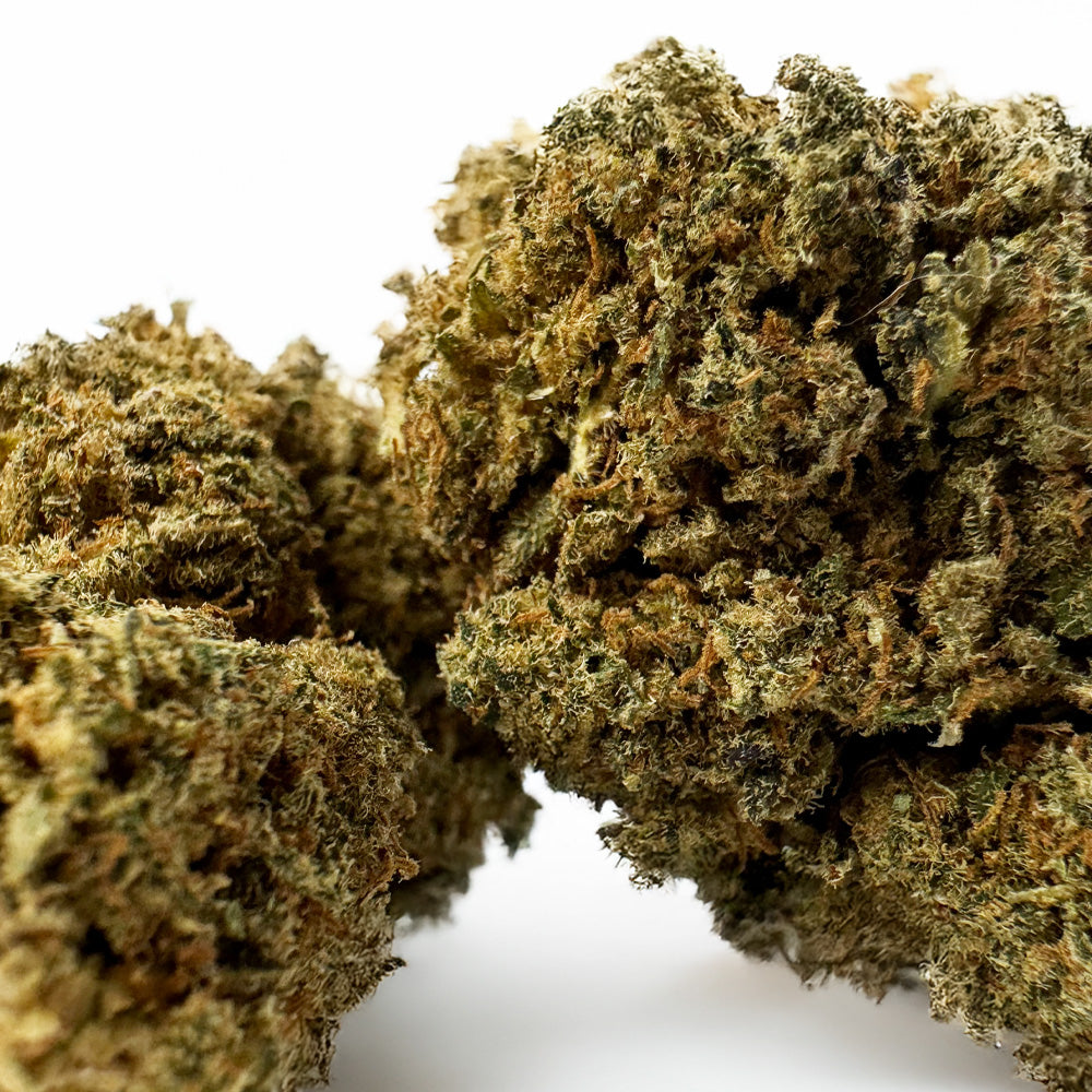 Banana Kush CBD - Indoor