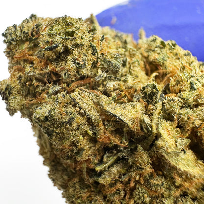 Banana Kush CBD - Indoor