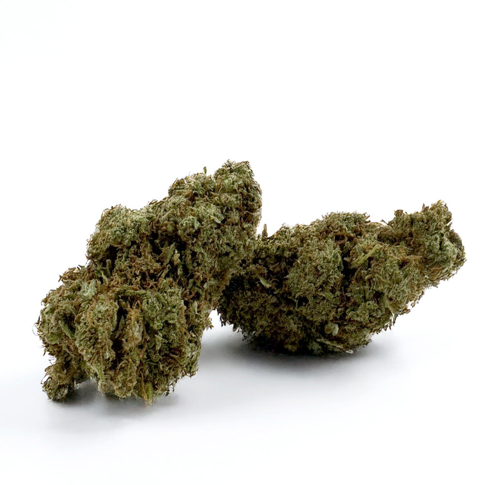 Banana Cream CBD - Indoor