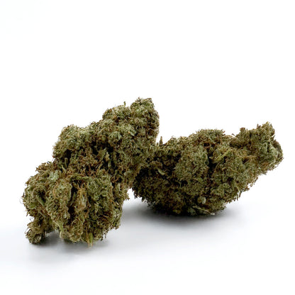 Banana Cream CBD - Indoor