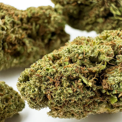 Banana Cream CBD - Indoor