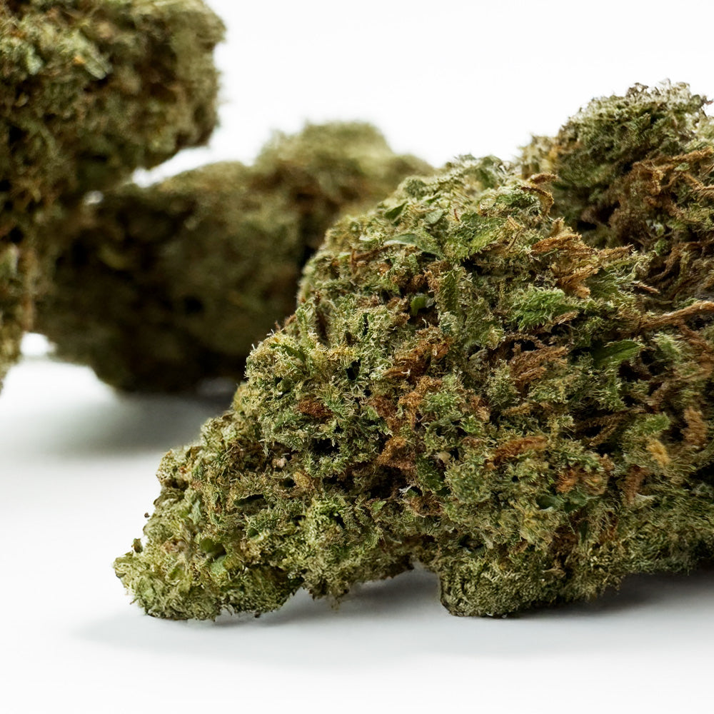 Banana Cream CBD - Indoor