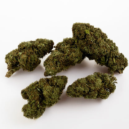 Banana Cream CBD - Indoor