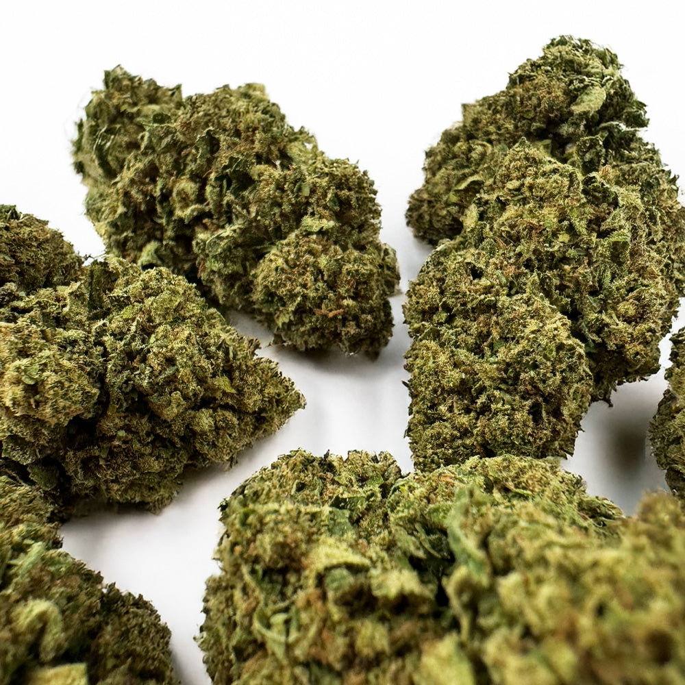 Biscotti - Glasshouse