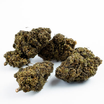 Black Widow CBD - Indoor