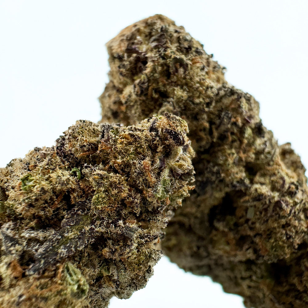 Black Widow CBD - Indoor