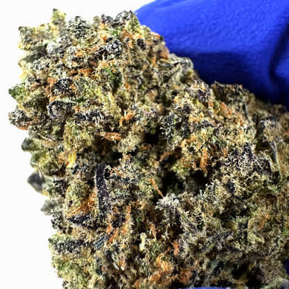 Black Widow CBD - Indoor