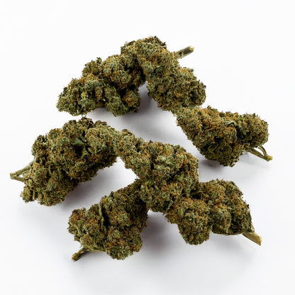 Blueberry Muffin CBD - Indoor