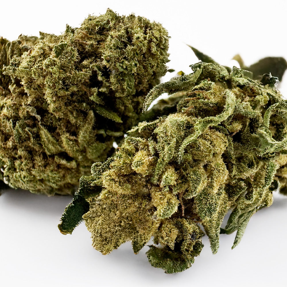 Bubblegum - Greenhouse