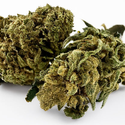 Bubblegum - Greenhouse