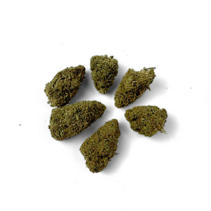 Chemdawg – uprawa w pomieszczeniu, USA