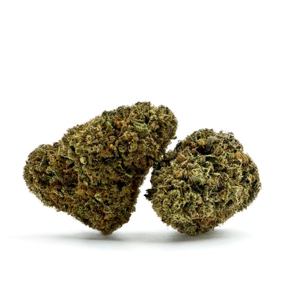 Cake Berry - Hybride US