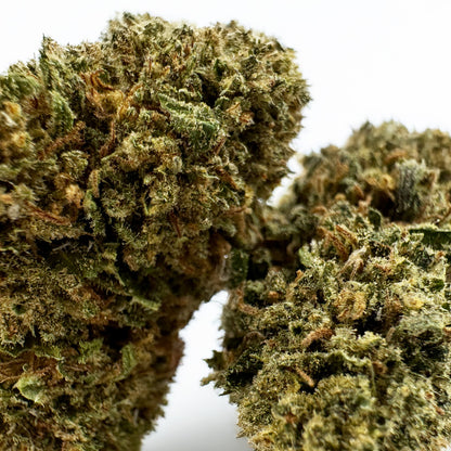 Cake Berry - Hybride US