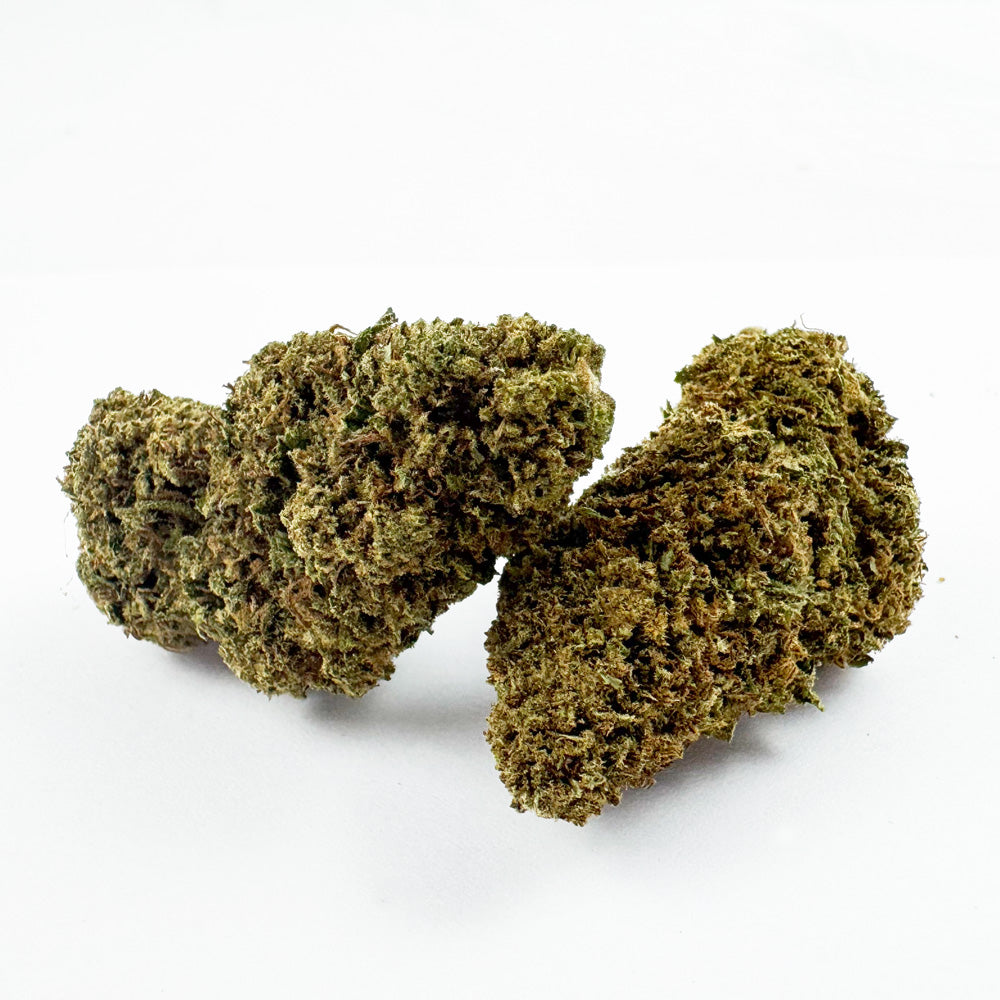 Cake Berry – hybryda amerykańska — zdjęcie 1