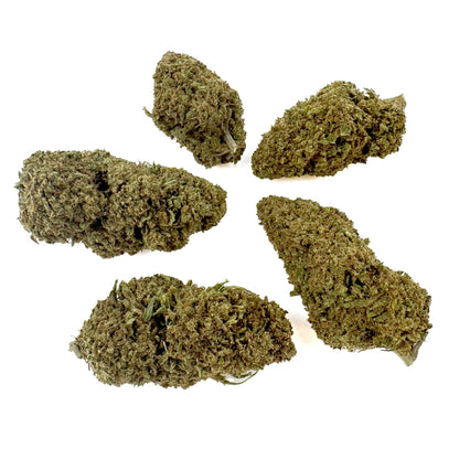 Cake Berry - US Hybrid — Photo 2