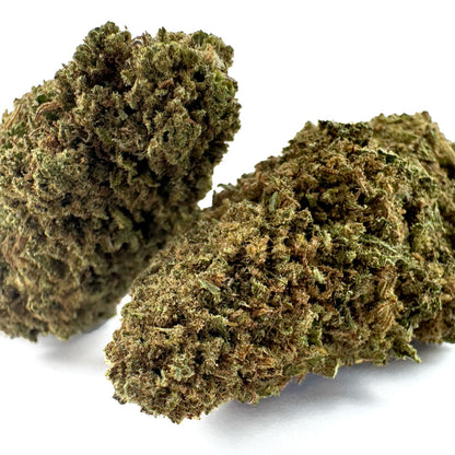Cake Berry - US Hybrid — Photo 3