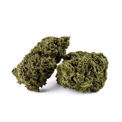 Candy Rain - US Hybrid