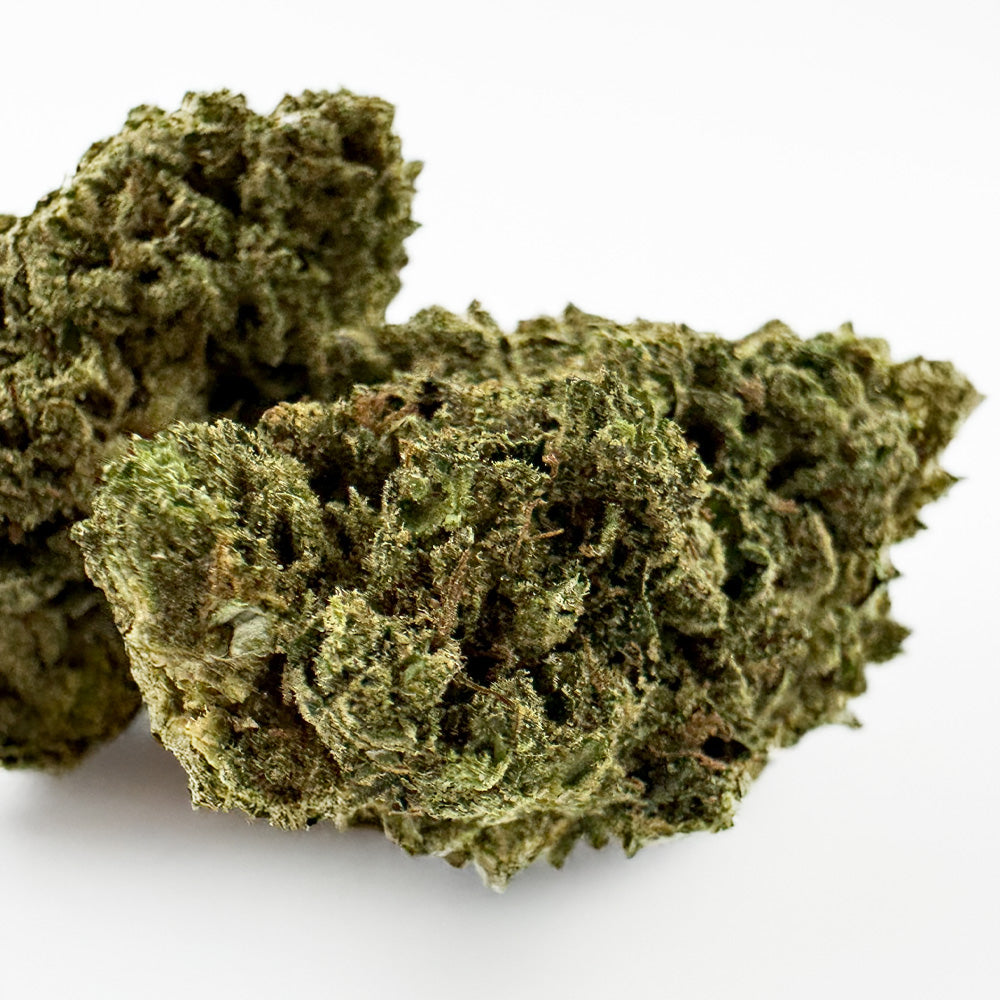 Candy Rain - US Hybrid