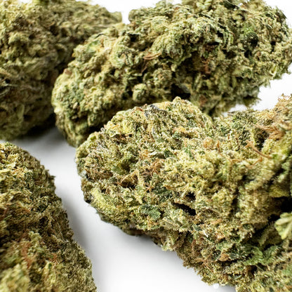 Candy Rain - US Hybrid