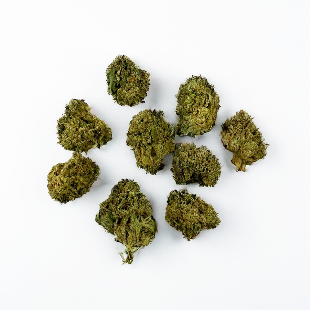 Cogollos pequeños Candy Rain - Híbrido