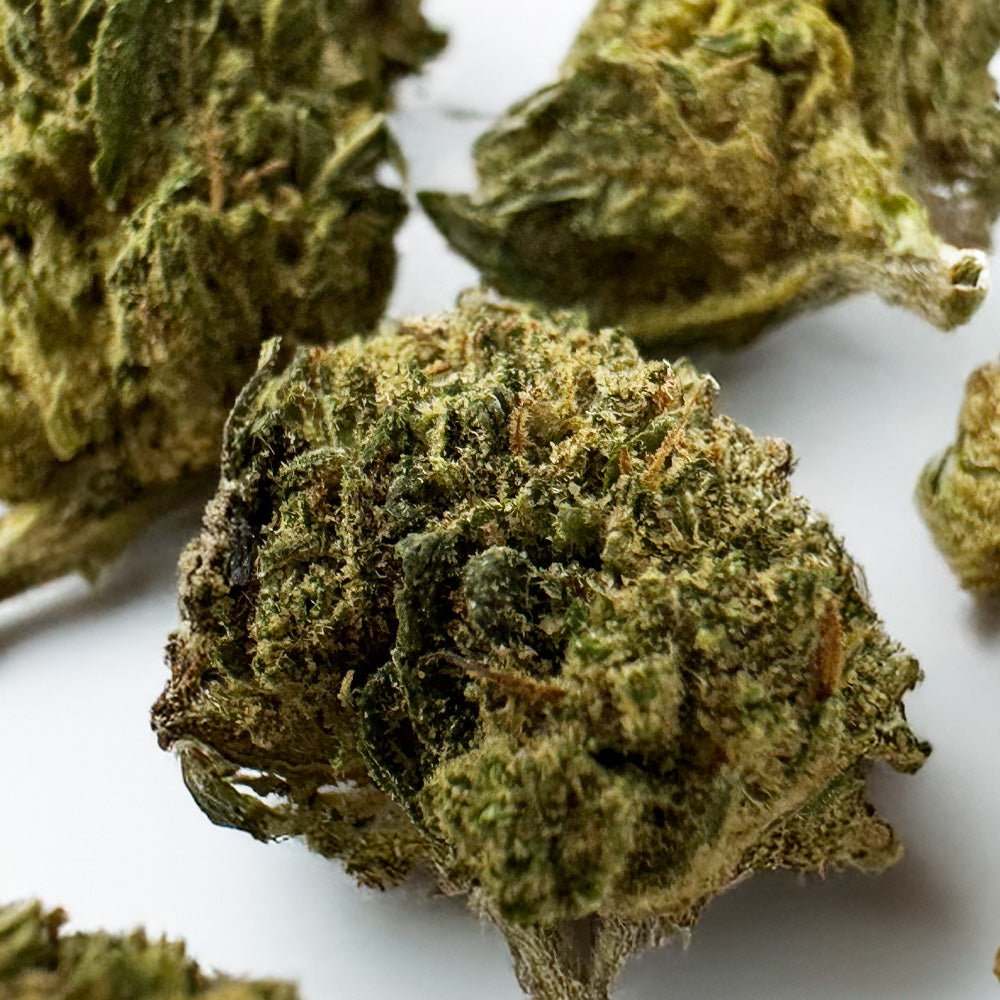 Cogollos pequeños Candy Rain - Híbrido