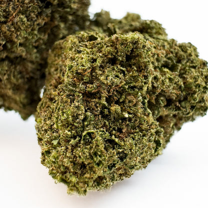 Candy Rain - Hybride USA — photo 2