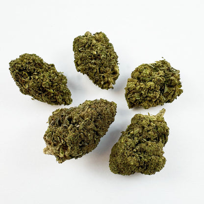 Candy Rain - Hybride USA — photo 3