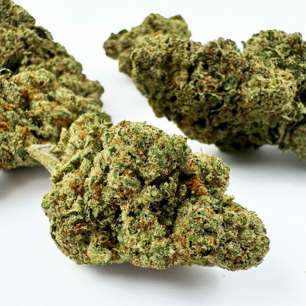 Captain Crunch - Indoor Elite USA — photo 1